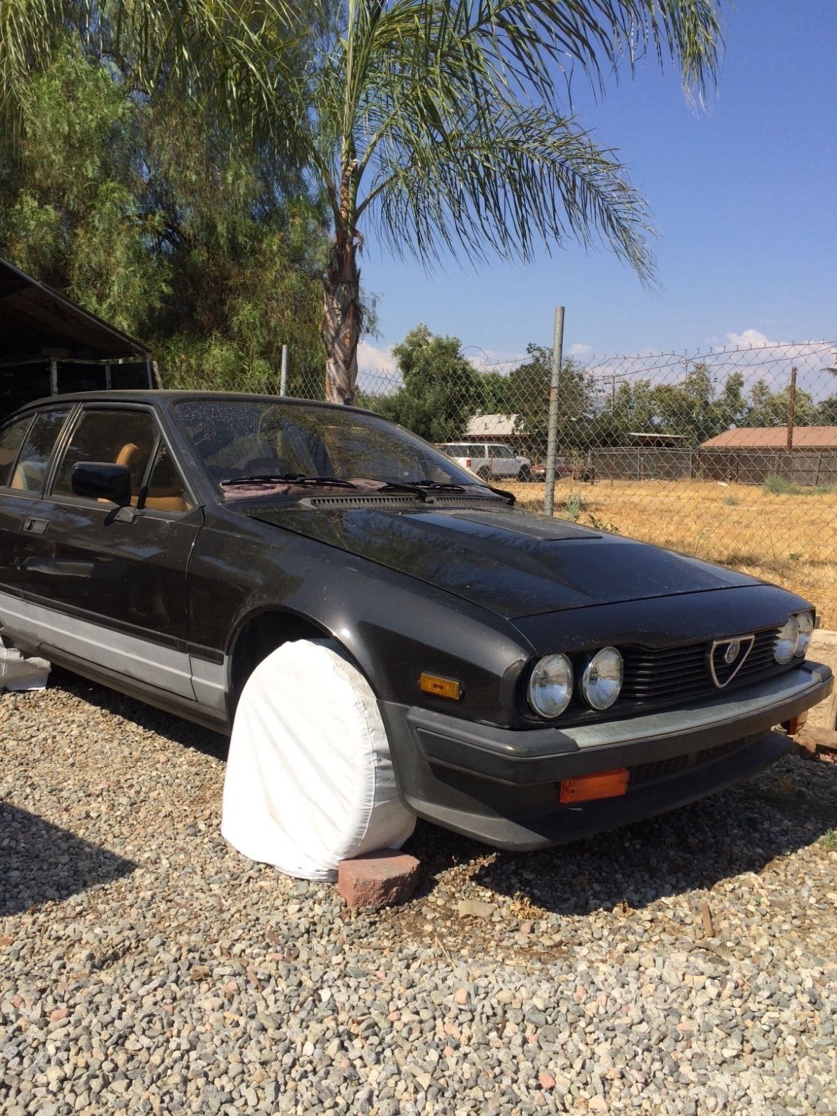 1983 Alfa Romeo Gtv6 For Sale