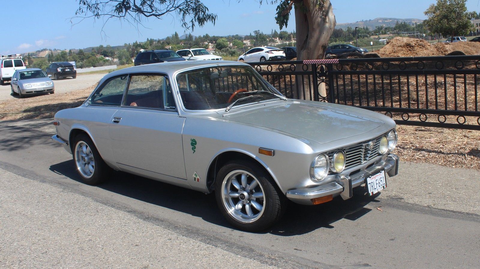 Silver 1974 Alfa Romeo Gtv For Sale