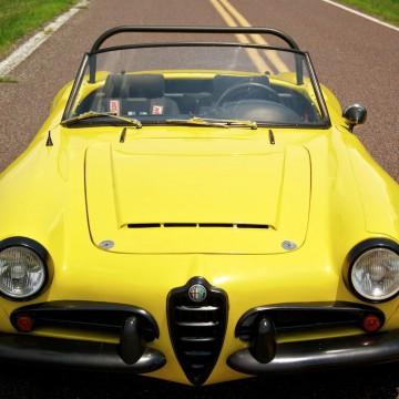 1957 Alfa Romeo Other for sale