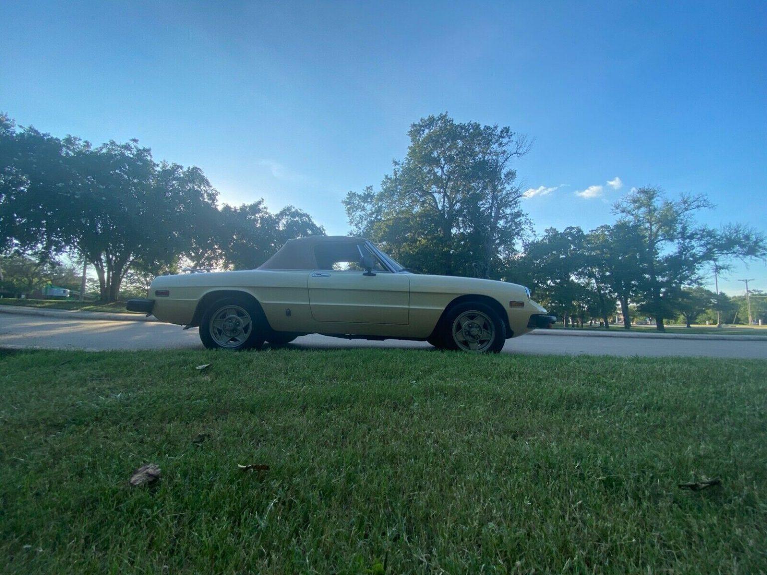 1982 Alfa Romeo Spider 2000 for sale