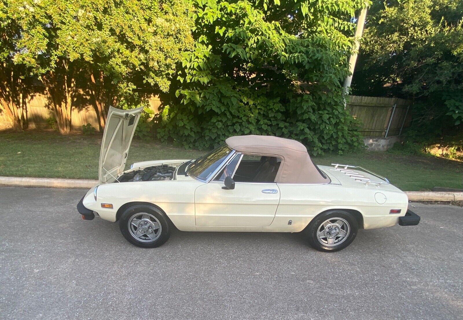 1982 Alfa Romeo Spider 2000 for sale