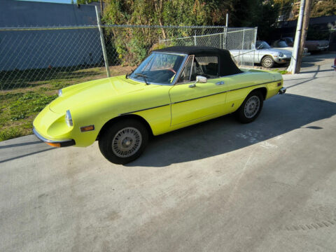 1977 Alfa Romeo Spider–California Car for sale