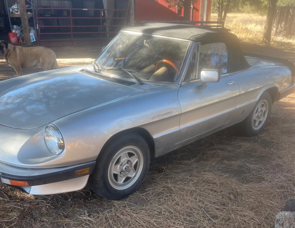 1985 Alfa Romeo Spider Veloce