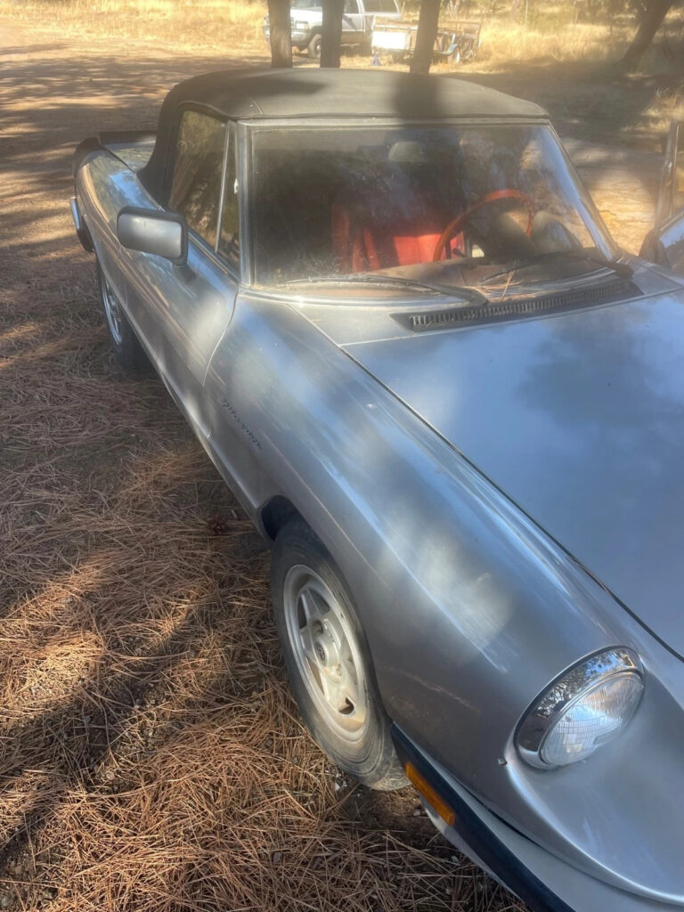 1985 Alfa Romeo Spider Veloce
